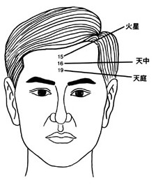 面相中央十四位置图解