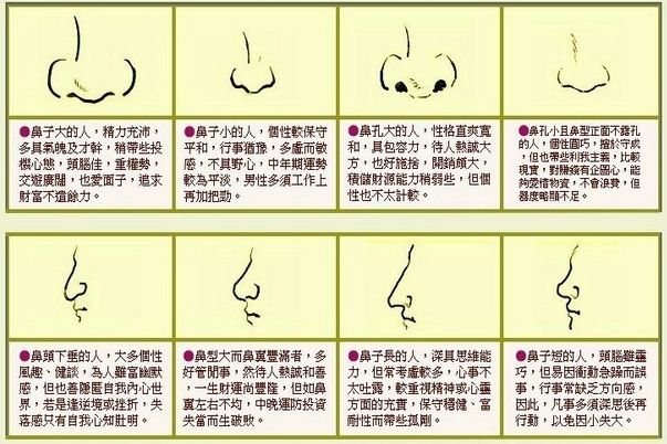 苏民峰面相鼻子面相图解