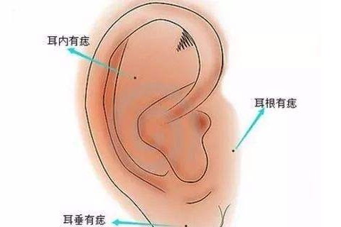 面相分析男人耳朵大代表什么