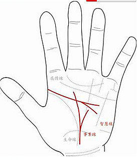 白手起家的掌紋圖解