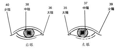 眼神眼形眼部面相圖解