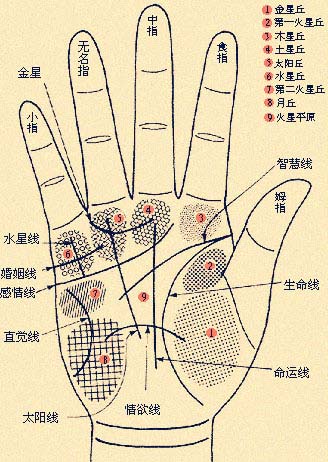 男人手相算命图解揭密男人命运