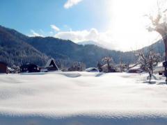 梦见地上有雪