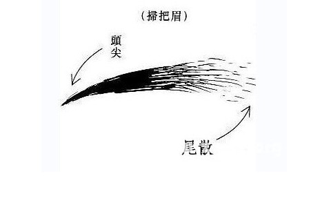 扫把眉面相图片