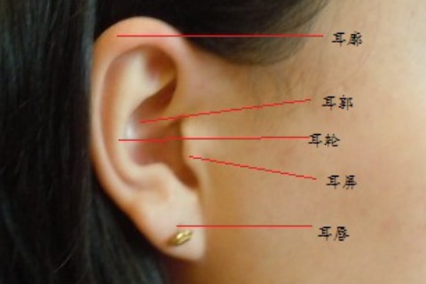 耳根长痣代表什么意思图片