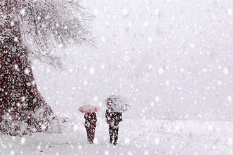 梦见地上有雪很滑（梦见地上有雪滑着玩） 梦见解

上有雪很滑（梦见解

上有雪滑着玩） 卜算大全