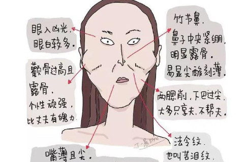 颧骨尖突的女人是克夫相拥有这样面相特点的女人做事情的时候十分干练