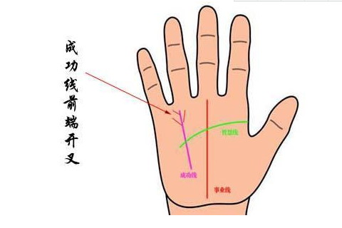 手相怎么看财运（手相怎么看财运手相财运）-第2张图片-潮百科